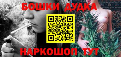 крисы Обь
