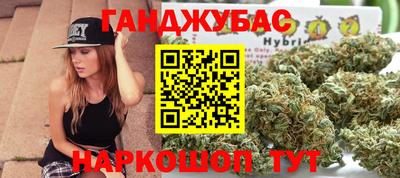 крисы Обь