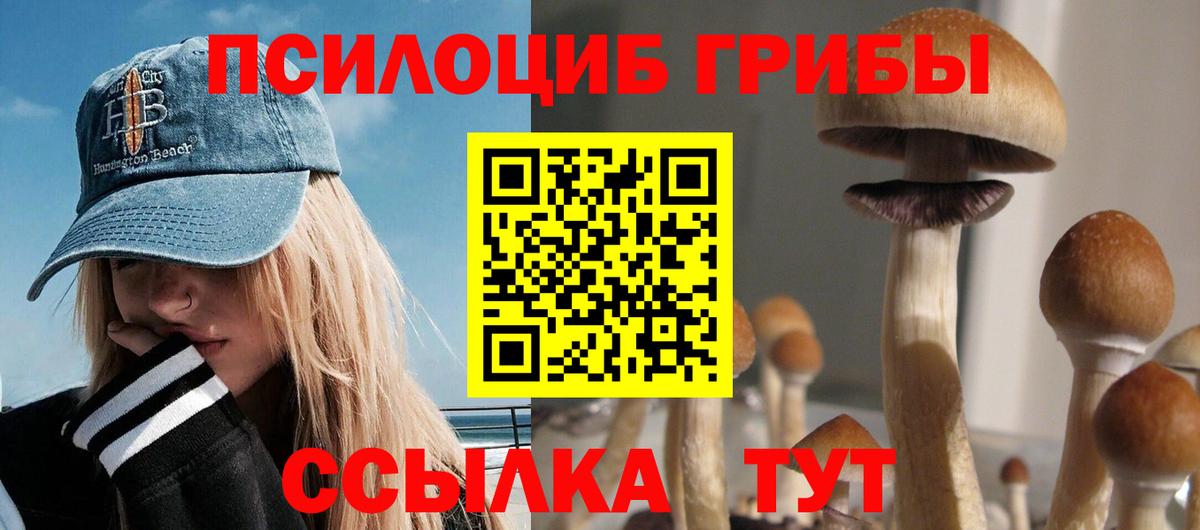 Ржев  Галлюциногенные грибы прущие грибы  Вход с VPN  Галлюциногенные грибы Cubensis 
