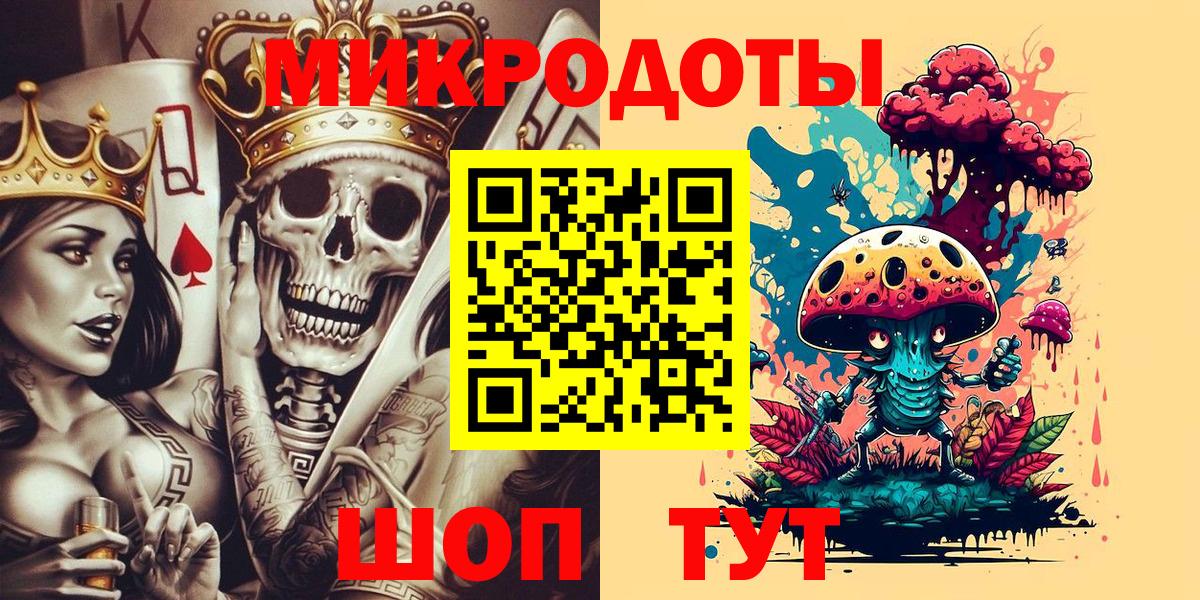 Псилоцибиновые грибы Psilocybine cubensis Ржев